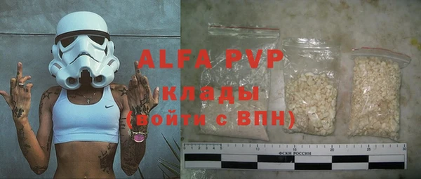 тгк Каменногорск
