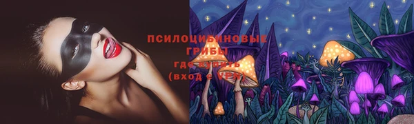 тгк Каменногорск
