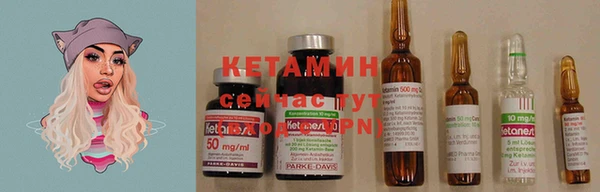 тгк Каменногорск