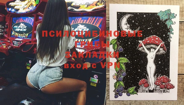 тгк Каменногорск