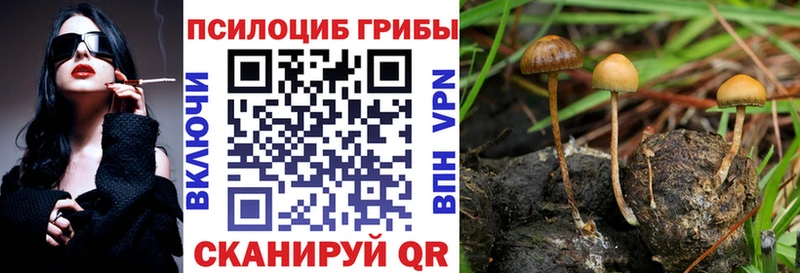 Галлюциногенные грибы Psilocybe  Купить закладки  Бронницы 
