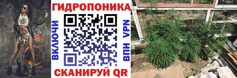 Купить  Бронницы  Каннабис SATIVA & INDICA 